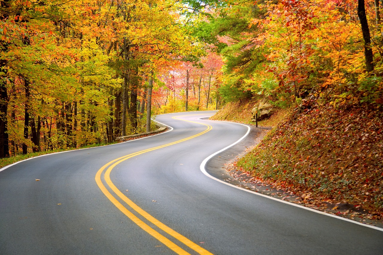 Fall Colors