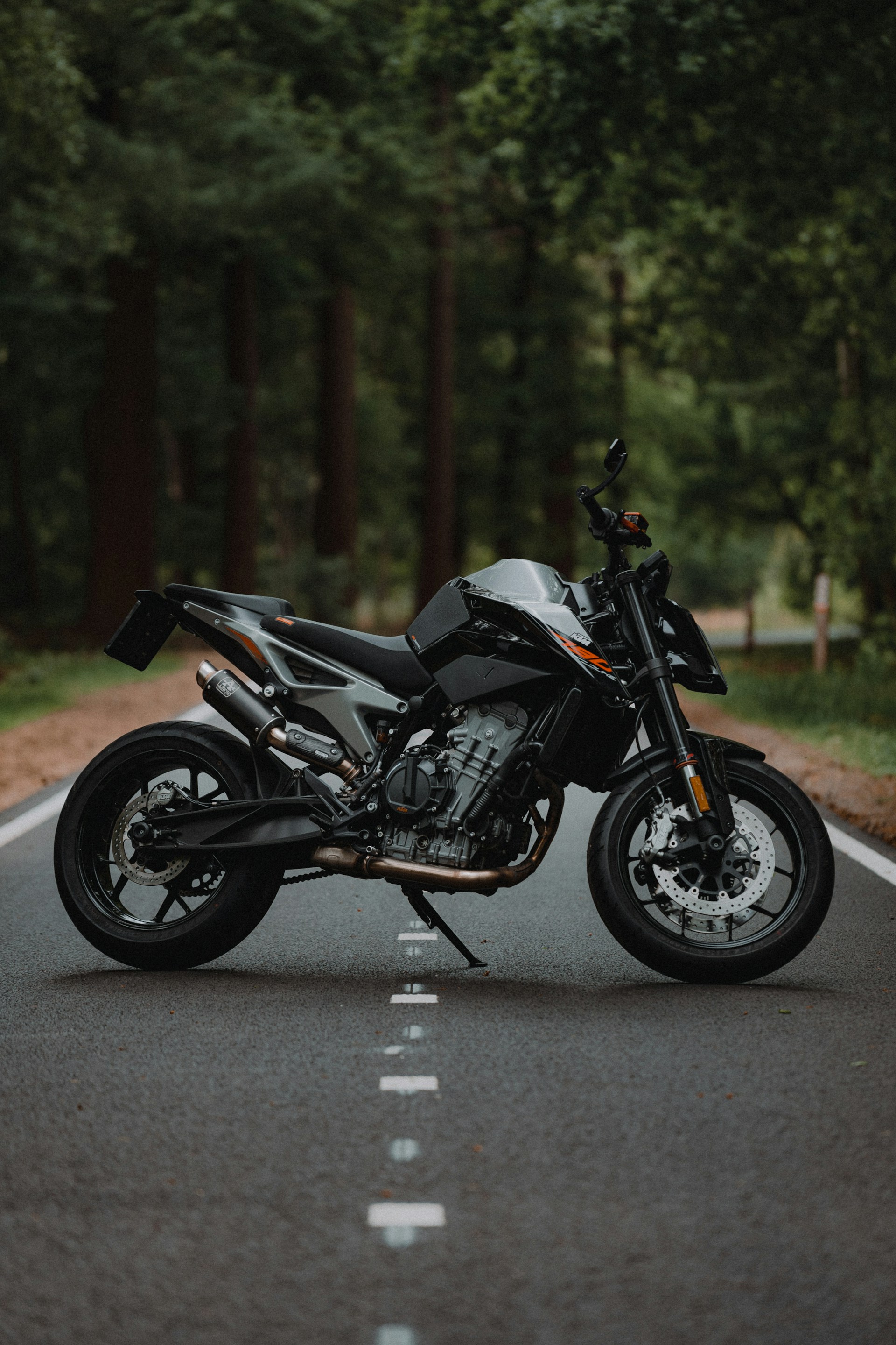 KTM in the Wild